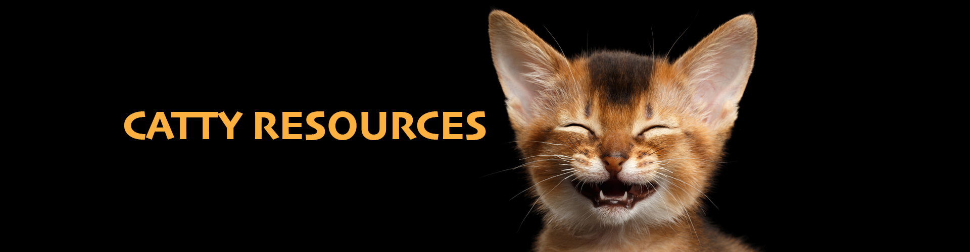 CATTY-RESOURC-HEADER